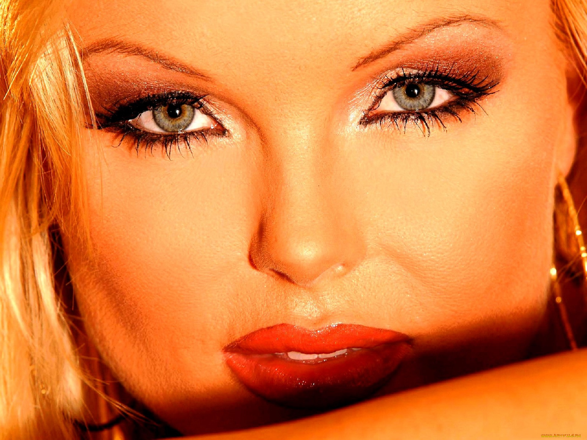 , silvia saint, , 